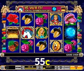 VIP Casino 55c